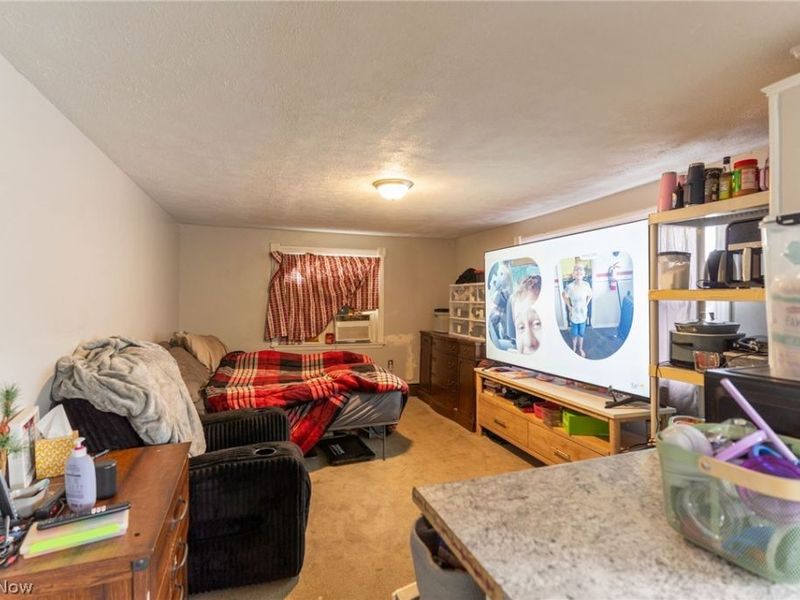5318 Youngstown Warren Road, Niles, OH 44446 Photo 28