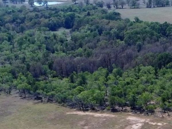 TBD CR 302, Rockdale, TX 76567