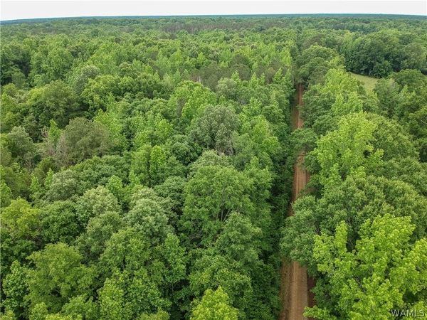 000 Carnation Rd , Sawyerville, AL 36776