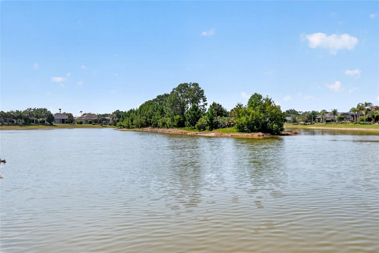 2327 Wakefield Way, Mount Dora, FL 32757 Photo