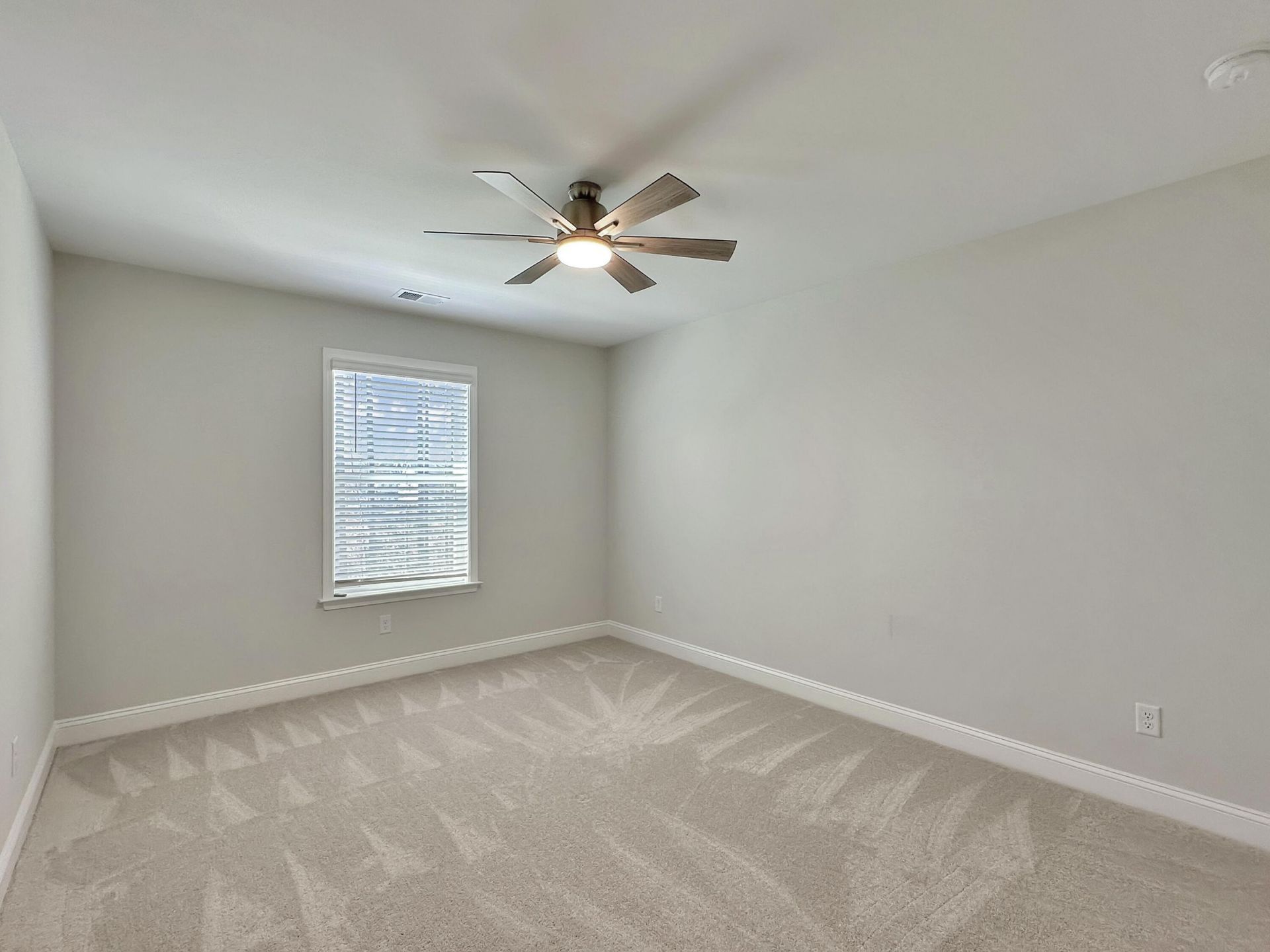 229 Shadybrook Drive Photo 23