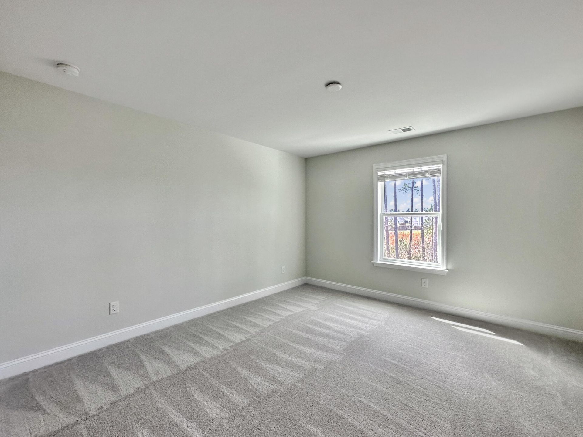 229 Shadybrook Drive Photo 24
