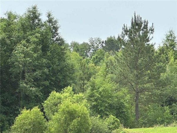 0 County Road 54 Road, Daphne, AL 36526