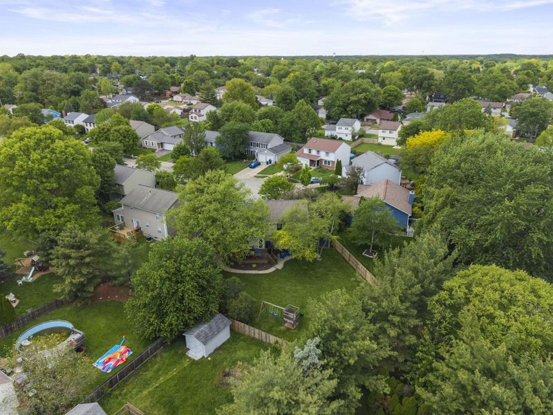 1939 Dina Court, Powell, OH 43065 Photo 52