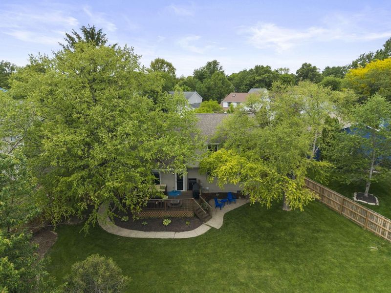 1939 Dina Court, Powell, OH 43065 Photo 53