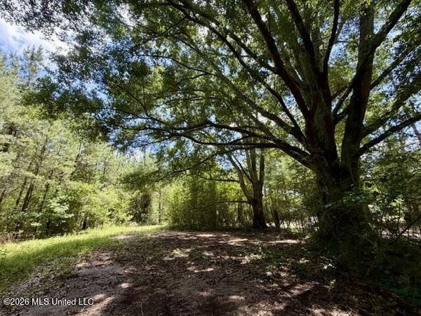 Vaniel Holmes Road, Tylertown, MS 39667