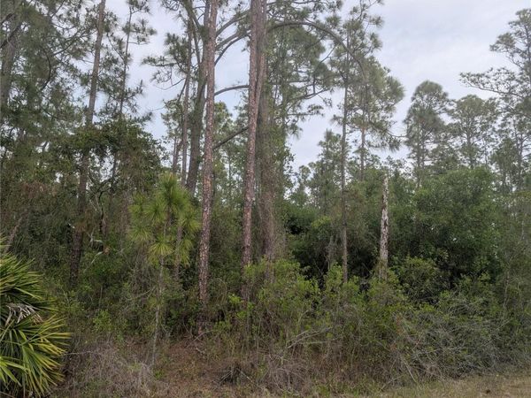 320 ALBA DRIVE, INDIAN LAKE ESTATES, FL 33855