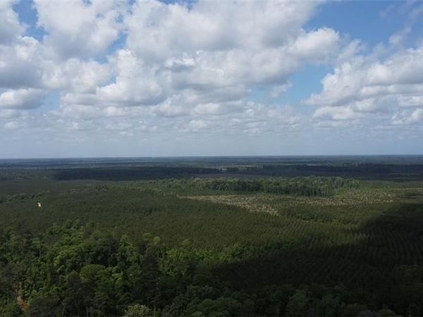 26341 SATSUMA Road , Livingston, LA 70754