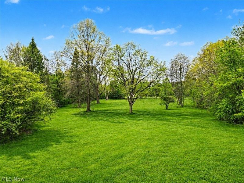 1123 N Hametown Road, Akron, OH 44333 Photo 4