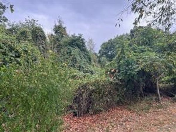 0 Off Droz Lot #2 Beck Plan, Ambridge, PA 15005