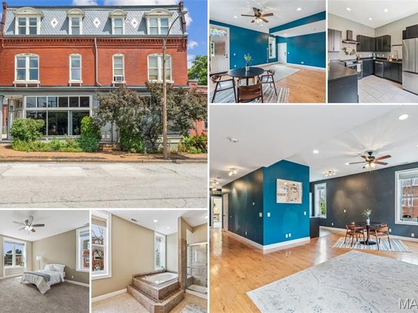 2900 Indiana Avenue , Unit 3, St Louis, MO 63118