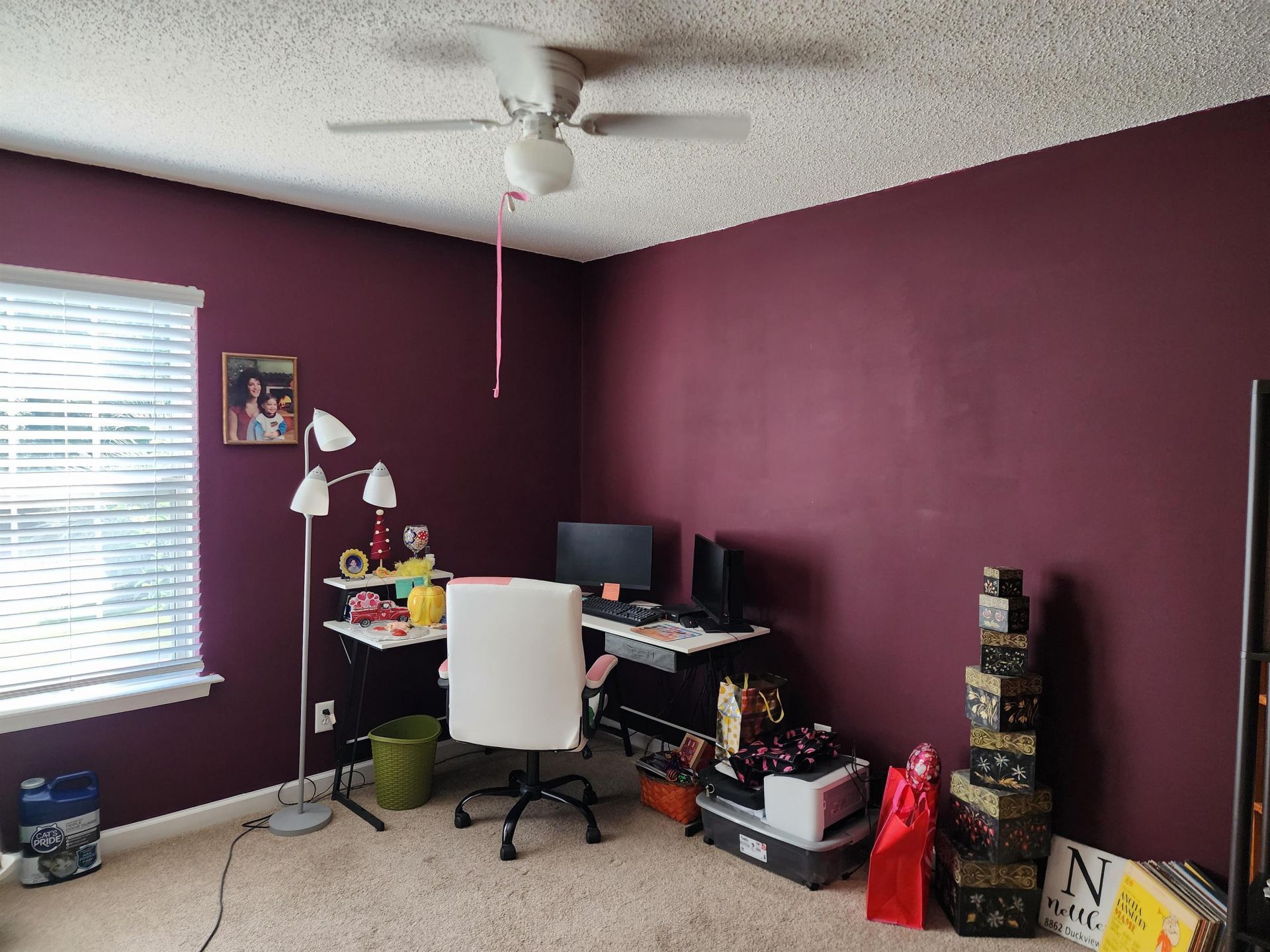 8862 Duck View Dr.  Photo 15