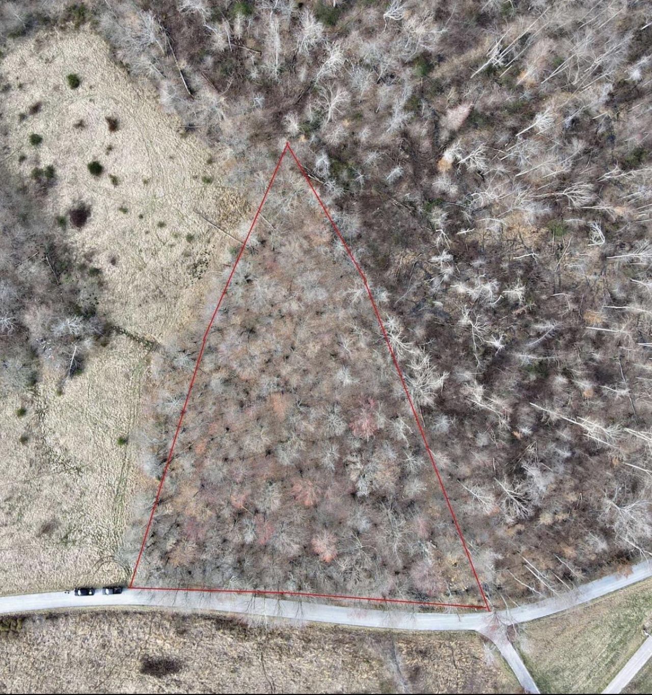 9999 Flatwoods School Road, Lot #Tract 4, Crab Orchard, KY 40419 Main Photo