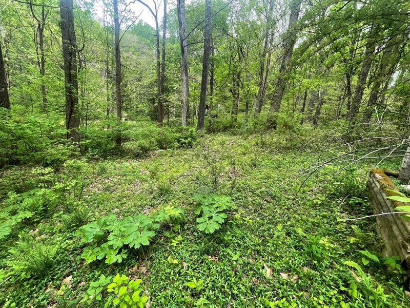 12593 Trillium Way , Rockbridge, OH 43149 Photo 1