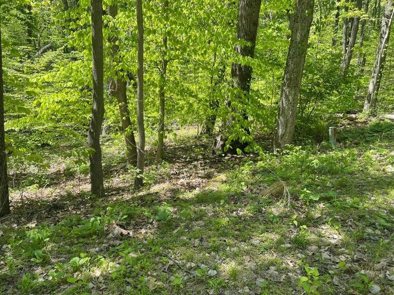 12593 Trillium Way , Rockbridge, OH 43149 Photo 10