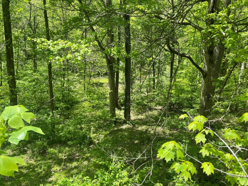 12593 Trillium Way , Rockbridge, OH 43149 Photo 13