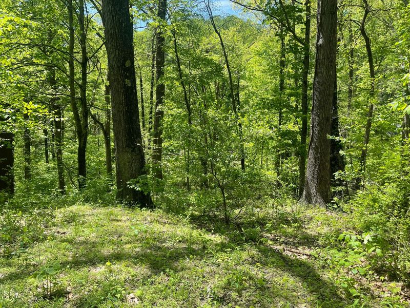 12593 Trillium Way , Rockbridge, OH 43149 Photo 8