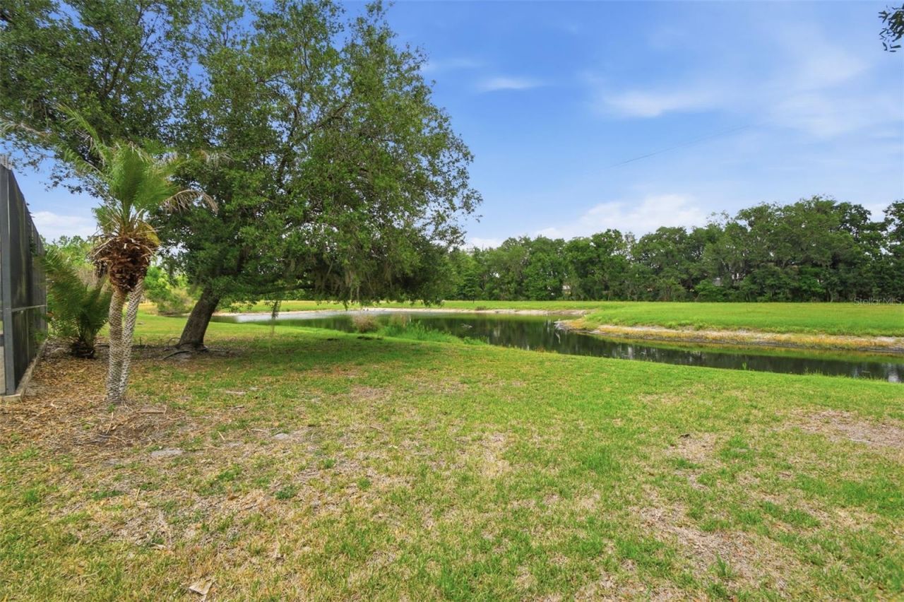 6409 Bridgecrest Drive , Lithia, FL 33547 Photo