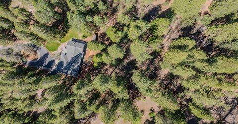 25733 Aspen Ct, Volcano, CA 95689 Photo
