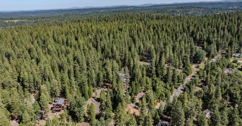 25733 Aspen Ct, Volcano, CA 95689 Photo