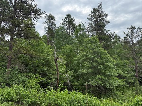 Lot 51 Aspen Lane, Barnes, WI 54873
