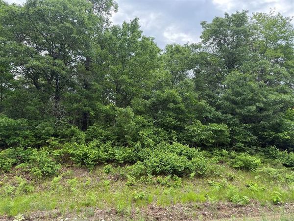 Lot 53 E Wilderness Court, Barnes, WI 54873