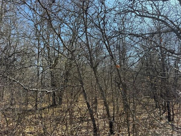 Lot 53 Wilderness Court, Barnes, WI 54873