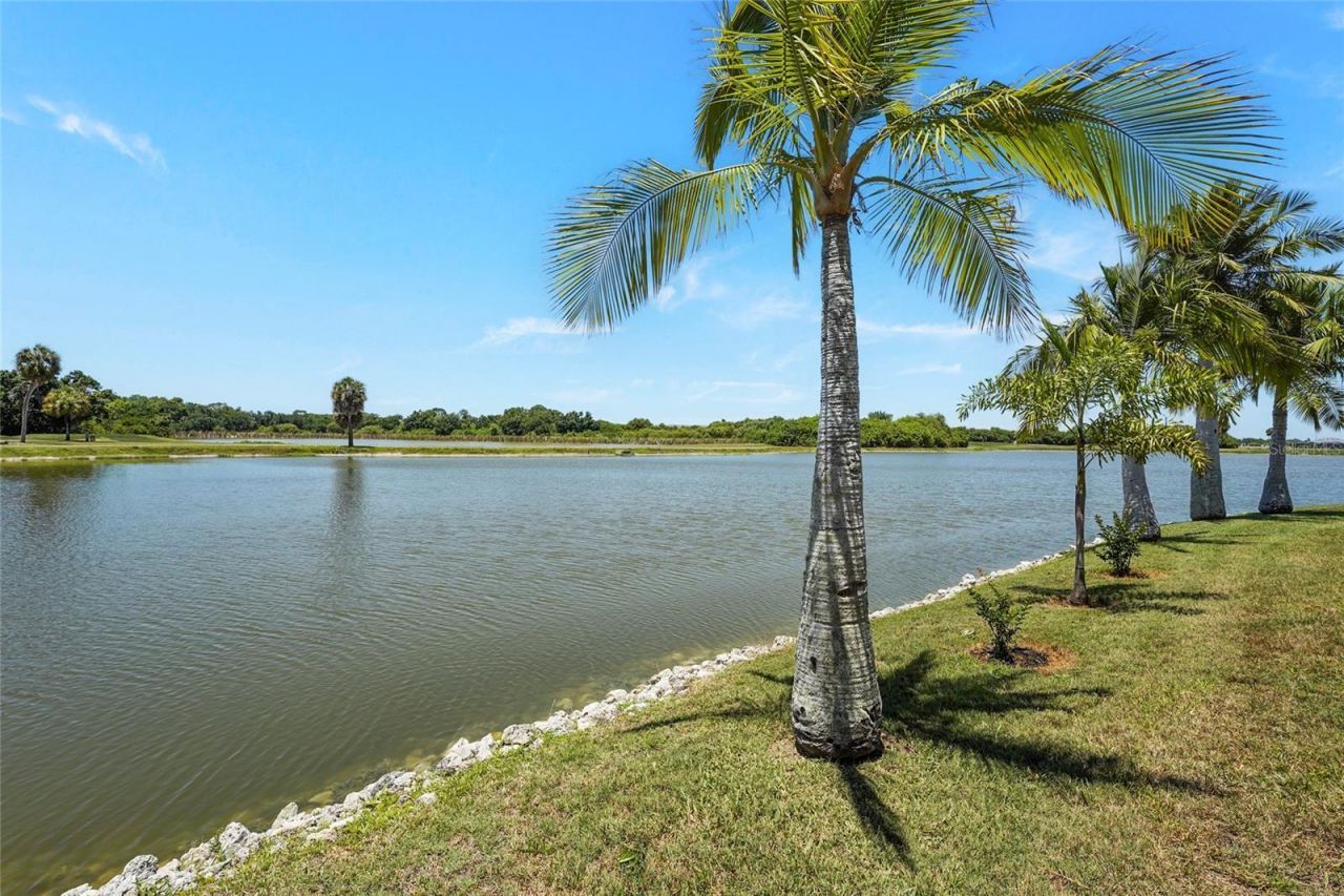 10591 Old Grove Circle, Bradenton, FL 34212 Photo