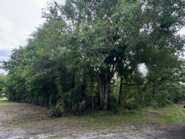 1249 SABLE PALM DRIVE , CHRISTMAS, FL 32709