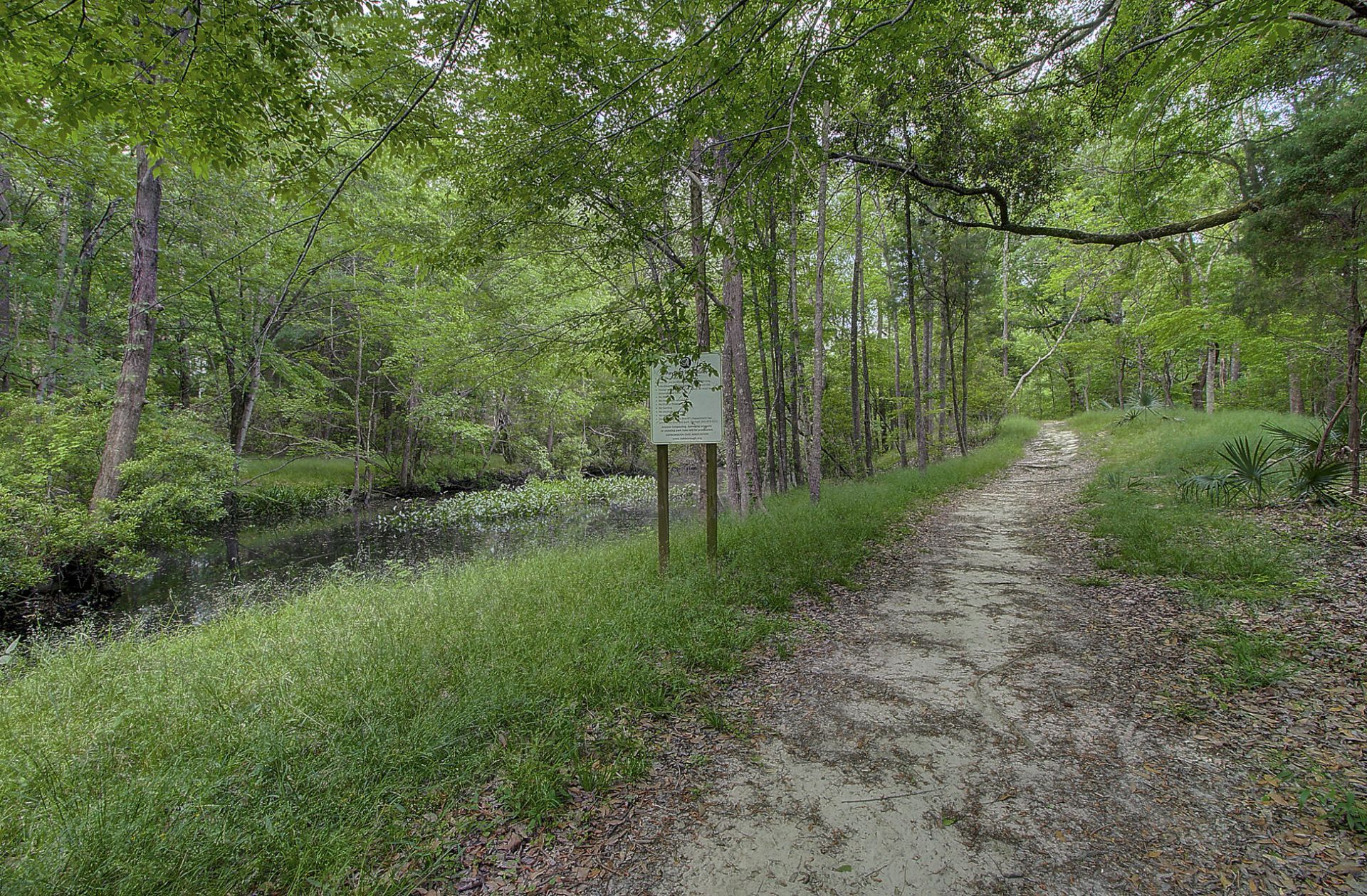 103 Laurens Court Photo 79