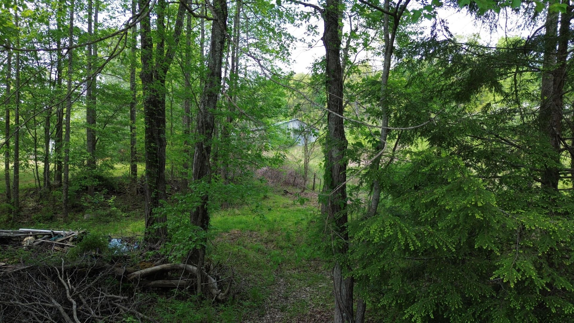 1008 Campbell Road, Corbin, KY 40701 Main Photo