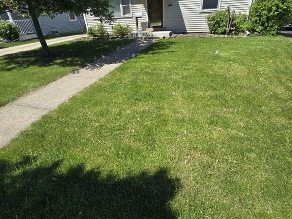 1436 Beach Avenue, La Grange Park, IL 60526