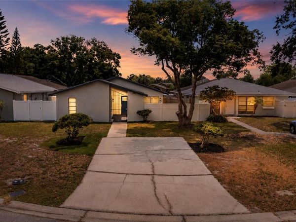 11005 UNDERWOOD PLACE, TAMPA, FL 33624