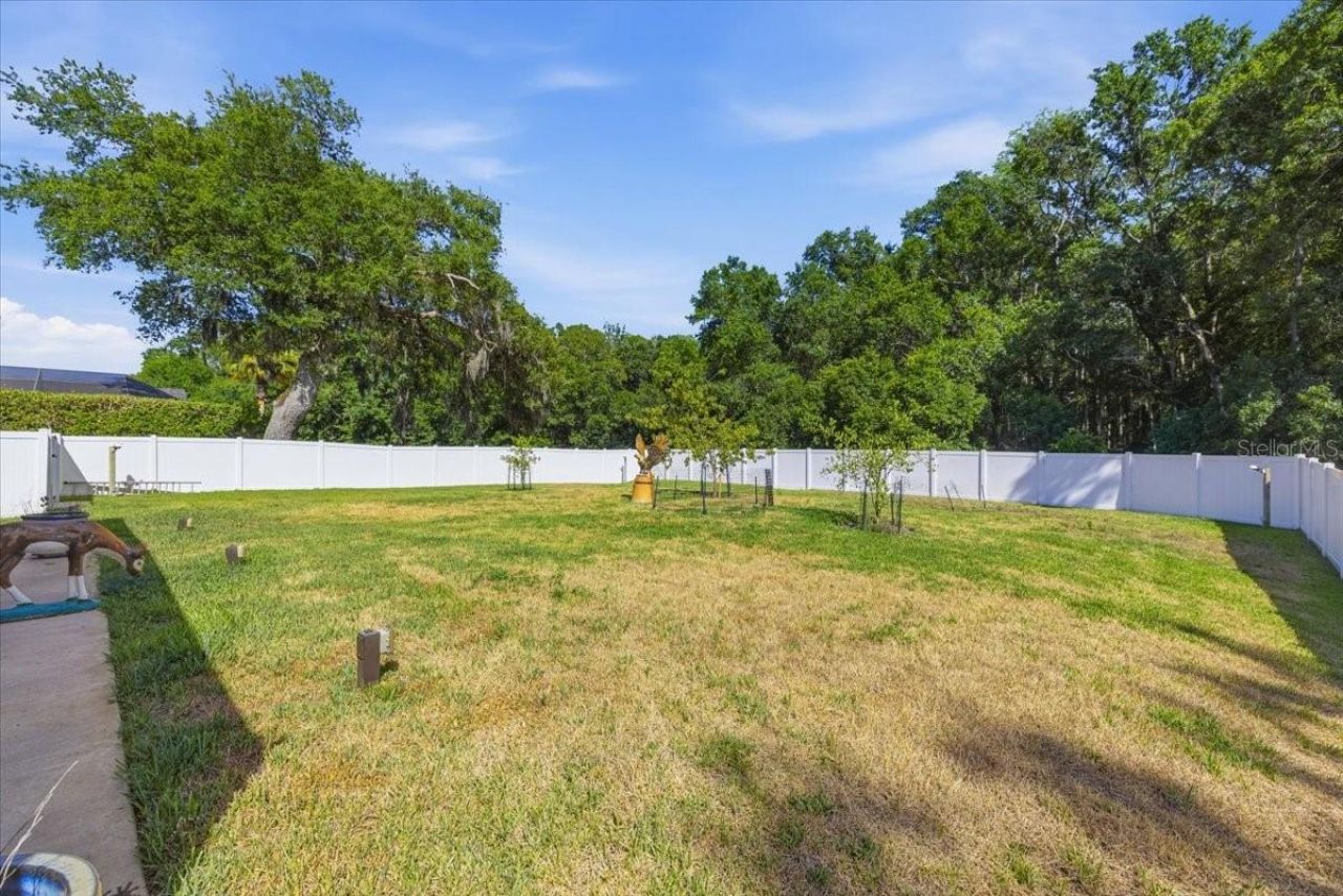 2818 Shipston Avenue, New Port Richey, FL 34655 Photo