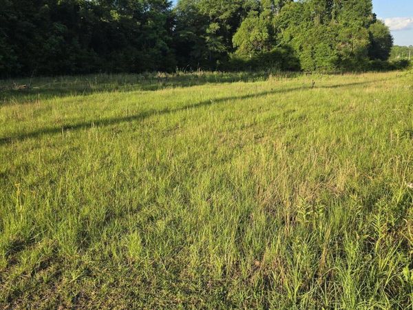 104 Treadwell Drive, Bonifay, FL 32425