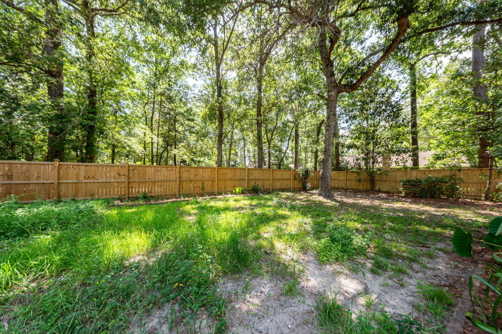 109 Runnymede Lane Photo 45