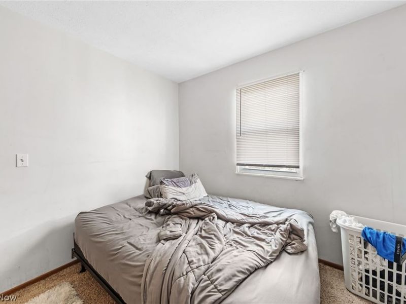 9020 Memphis Avenue, Brooklyn, OH 44144 Photo 30