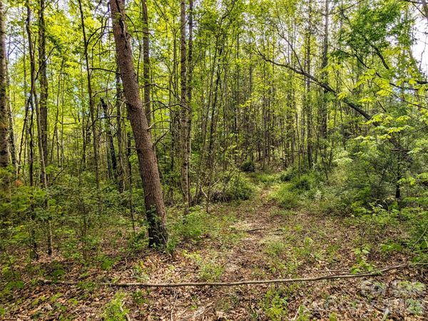 99999 Weldon Way , Fairview, NC 28730