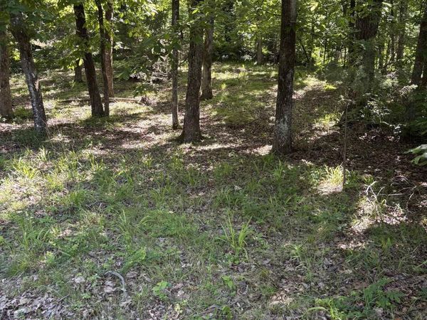 TBD N Crystal Springs Road , Royal, AR 71968
