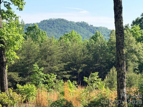 Lot 11 Brookside Parkway , Lake Lure, NC 28746