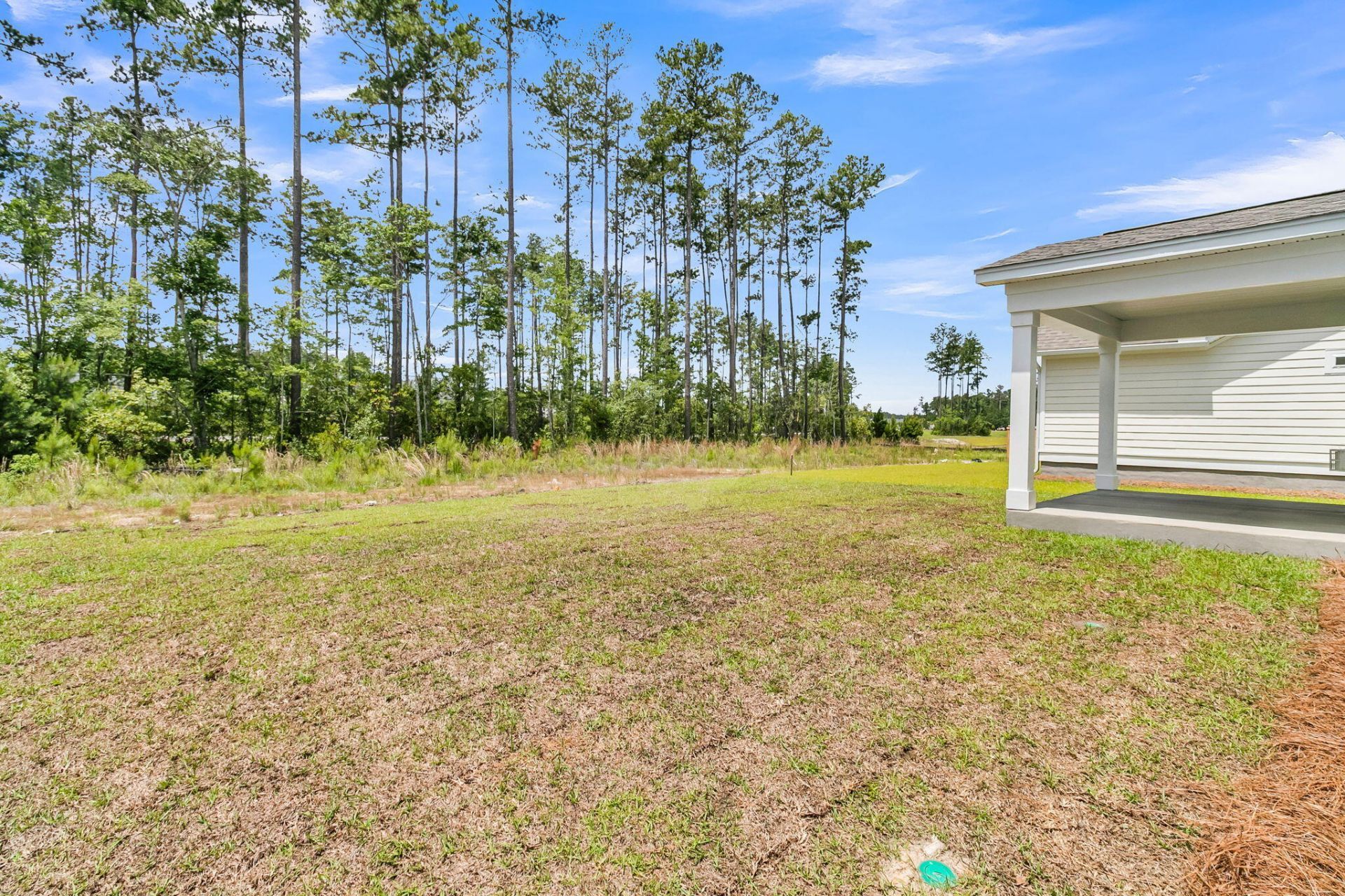 733 Maynard Lane Photo 40