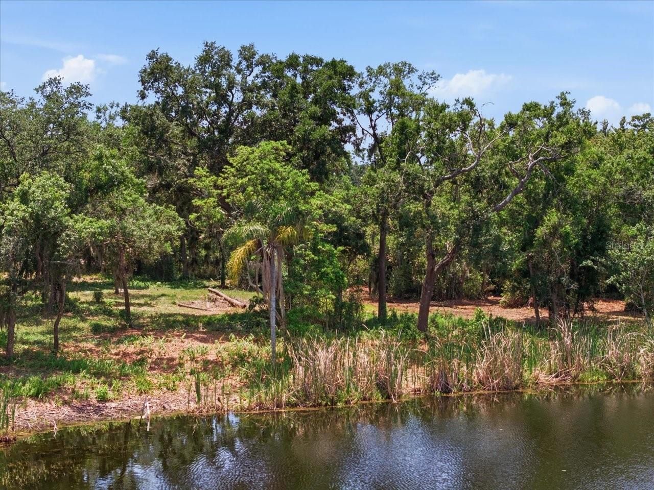 8901 S Mobley Road , Tampa, FL 33626 Photo