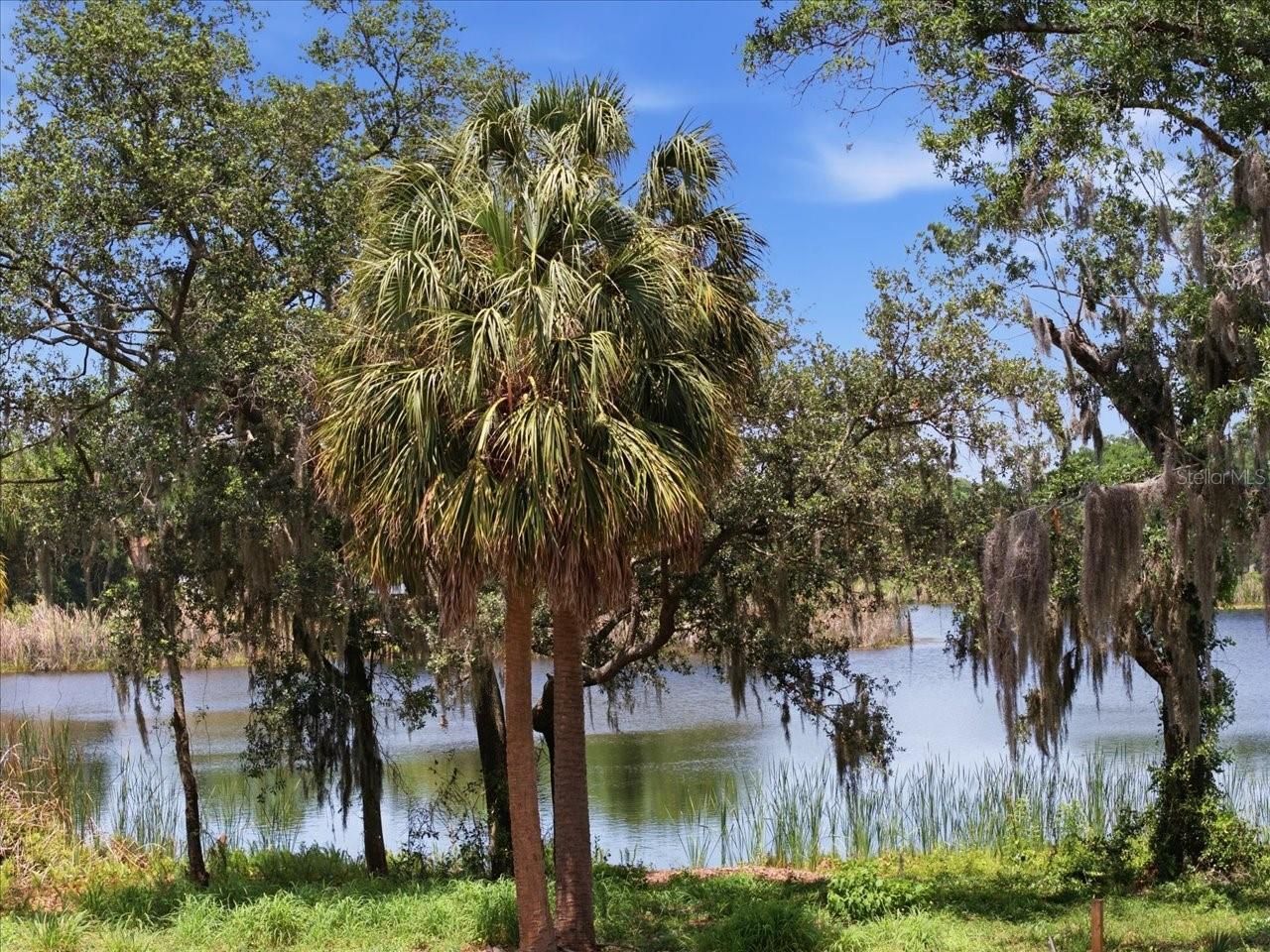 8901 S Mobley Road , Tampa, FL 33626 Photo
