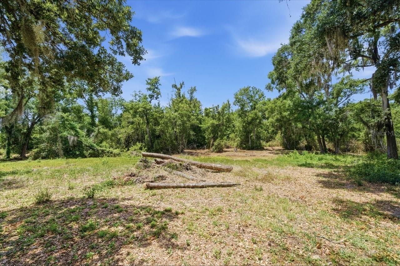 8901 S Mobley Road , Tampa, FL 33626 Photo