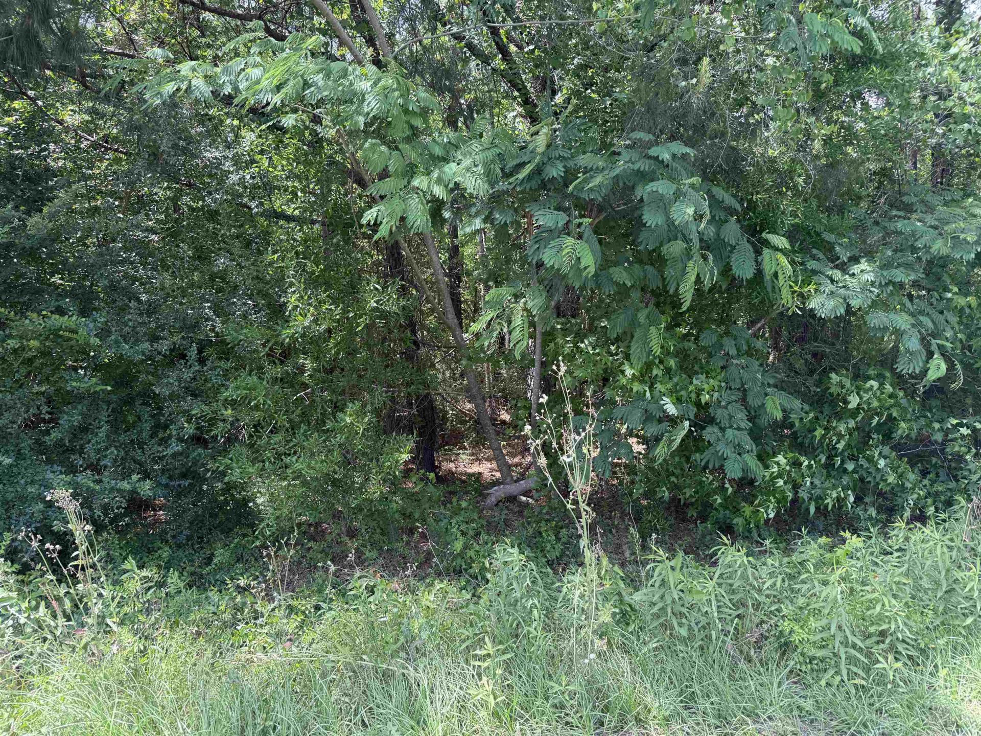 Tbd Holly Berry Ct., Andrews, SC 29510 Main Photo