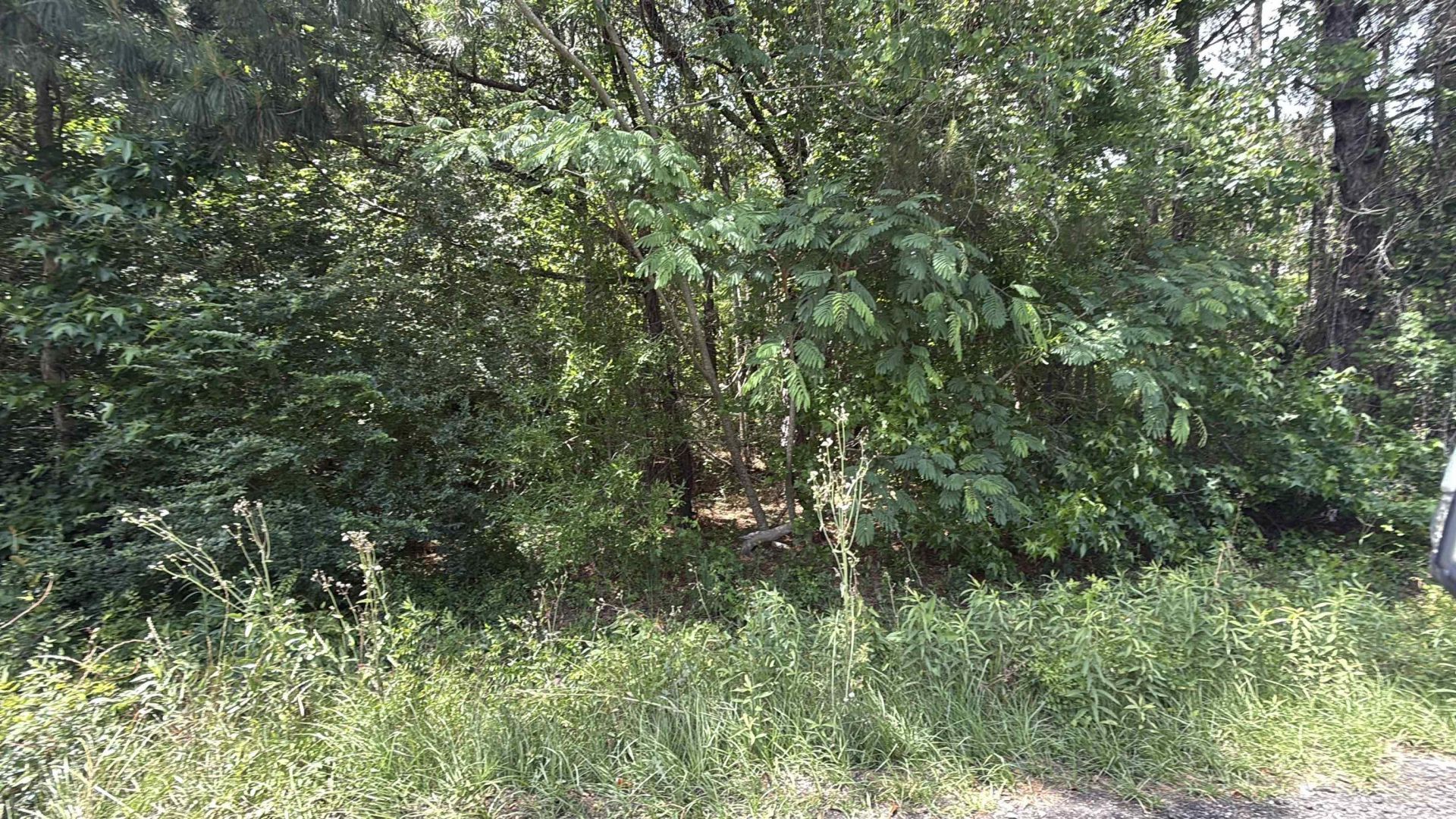 Tbd Holly Berry Ct. Photo 3
