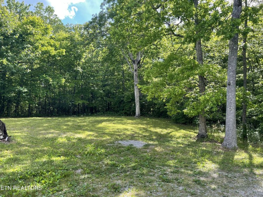 Property Image 46