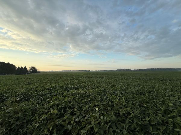 TBD 265th Avenue , Belle Plaine, MN 56011