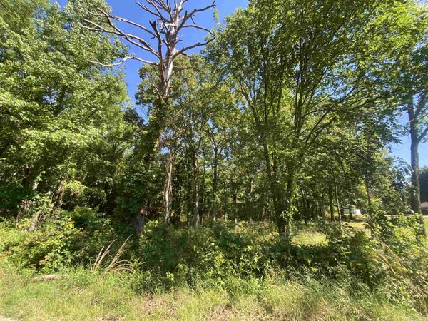 TBD Housing Authority Drive , Mount Ida, AR 71957