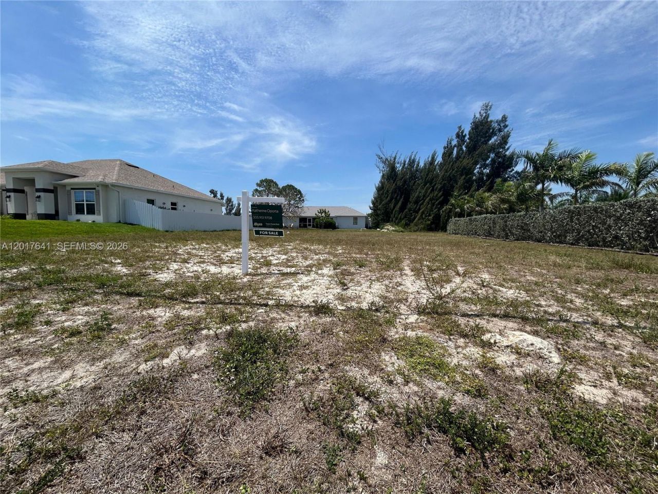3217 NW 21st St, Cape Coral, FL 33993 Photo